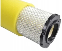 Briggs &amp; Stratton ORO FILTRAS BRIGGS&amp;STRATTON 793569 EVEREST
