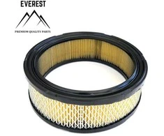 Briggs &amp; Stratton ORO FILTRAS BRIGGS&amp;STRATTON VANGUARD 2 CYLINDERS EVEREST