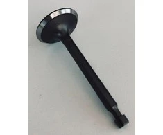 ĮSIURBIMO VOŽTUVAS ZONGSHEN XP200