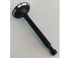 IŠMETIMO VOŽTUVAS ZONGSHEN XP200