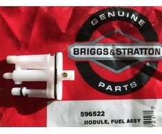 Briggs &amp; Stratton KARBIURATORIAUS ANTGALIS BRIGGS&amp;STRATTON 596522 Originali prekė