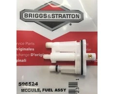 Briggs &amp; Stratton KARBIURATORIAUS ANTGALIS BRIGGS&amp;STRATTON 596524 Originali prekė