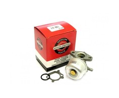Briggs &amp; Stratton KARBIURATORIUS BRIGGS&amp;STRATTON PULSA PRIMA SERIA 600 QUANTUM Originali dalis