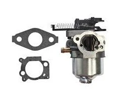 Briggs &amp; Stratton Karbiuratorius BRIGGS&amp;STRATTON SERIA 700, 750 DOV