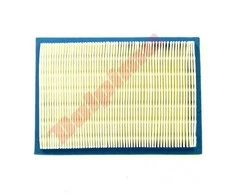 Briggs &amp; Stratton ORO FILTRAS BRIGGS&amp;STRATTON 165X114X19
