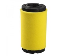 Briggs &amp; Stratton ORO FILTRAS BRIGGS&amp;STRATTON 793569 EVEREST