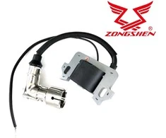 UŽDEGIMO RITĖ ZONGSHEN XP200 6,5HP