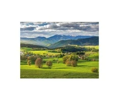 Dėlionė Dino Puzzle 3000 Pieces: Spring