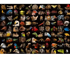 Ravensburger 1000 Puzzle Dėlionė: Stunning Animals