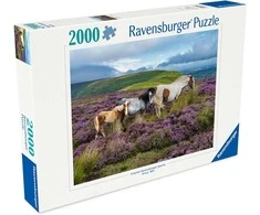 Ravensburger Dėlionė 2000 vnt. - Laukiniai arkliai viržynuose