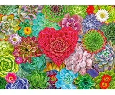 Ravensburger Dėlionė 500 vnt. - Sukulentas