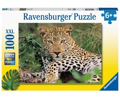 Ravensburger Dėlionė 100 vnt. - Egzotiškas gyvūnas