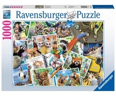 Ravensburger Dėlionė 1000 vnt. - Keliautojo nuotraukų albumas
