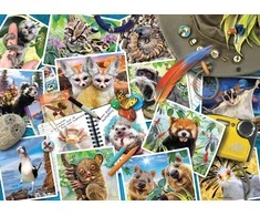 Ravensburger Dėlionė 1000 vnt. - Keliautojo nuotraukų albumas
