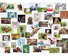Ravensburger Dėlionė 1500 vnt. - Juokingi gyvūnai