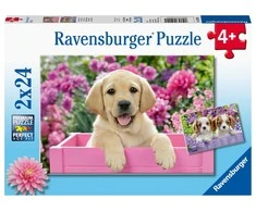 Ravensburger Dėlionė 2x24 vnt. - Šuniukai