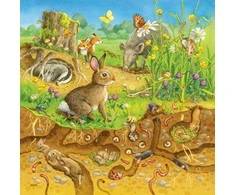 Ravensburger Dėlionė 3x49 vnt. - Gyvūnų gyvenamosios vietos