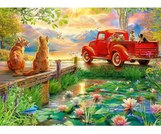 Ravensburger Dėlionė 500 vnt. - Vasaros meilė