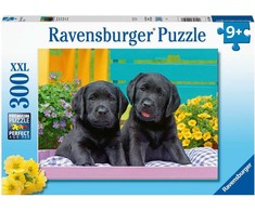 Ravensburger Dėlionė 300 vnt. - Šuniukai
