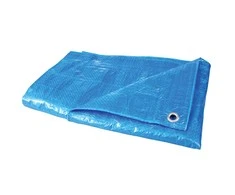 Plandeka Brezentas 65g/m2, 6x10m, mega