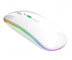 Aptel Belaidė Pelė Su RGB Apšvietimu