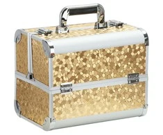 Aptel Kosmetikos priemonių lagaminas Professional Style XL Gold