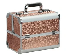 Aptel Kosmetikos priemonių lagaminas Professional Style XL Brown