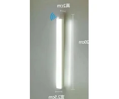 Pakabinamas šviestuvas LED šviestuvas ZD160 su judesio jutikliu, 20 cm, šaltai balta
