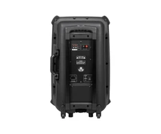 Azusa Aktyvus garsiakalbis (su 2 belaidžiais mikrofonais, SD, Bluetooth, USB) 15" 120W
