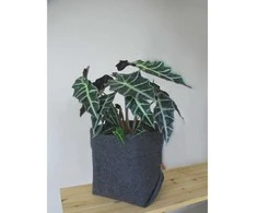 BERTONI EE Paprastas XXL puodo užvalkalas - 30 cm