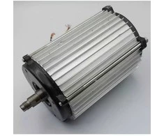 Dedra Silnik Elektrinis variklis