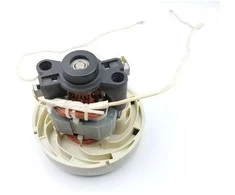 Dedra elektrinis variklis