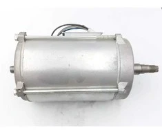 Dedra elektrinis variklis