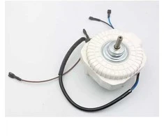 Dedra Silnik BGA1401 variklis 70W 2800rpm
