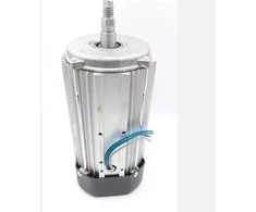Dedra elektrinis variklis 800W
