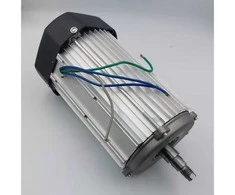 Dedra Silnik 800 W elektros variklis