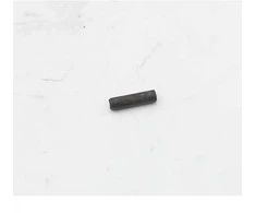 Dedra Pin Prisegti