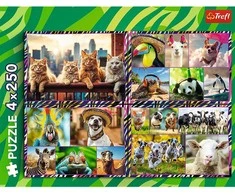 Trefl Dėlionė 4x250 vnt. - Linksmi gyvūnai