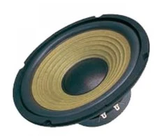 Dibeisi Oem Garsiakalbis DBS-G8002 8 colių - 4 omai