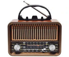 FM radijas TRACER RTX200
