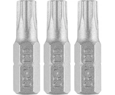 Bity Torx antgaliai T30 x 25 mm, 3 vnt.