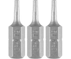 Bity Torx antgaliai T9 x 25 mm, 3 vnt.