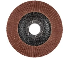 Ściernica Plokštelinis šlifavimo ratas 115 x 22,2 mm, P120