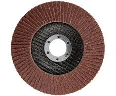 Ściernica Plokštelinis šlifavimo diskas 125 x 22,2 mm, P100