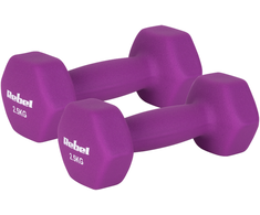 Ketaus neopreno hanteliai HEX 2x2,5kg, REBEL ACTIVE