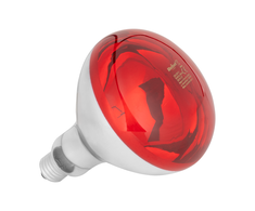 Rebel R125 infraraudonųjų spindulių lempa, 100 W, 220–240 V