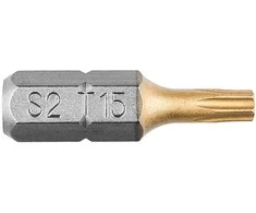 Koncówki Atsuktuvo antgaliai TX15 x 25 mm, 2 vnt.