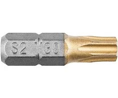 Koncówki Atsuktuvo antgaliai TX30 x 25 mm, 2 vnt.