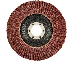 Ściernica Plokštelinis šlifavimo diskas 125 x 22,2 mm, K100