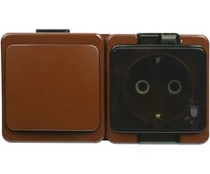 Gniazdo Lizdas Viengubas 2P+Z lizdas, atsparus purslams, SCHUKO su dūmų sklende ir 1 poliaus jungikliu, IP44, SMART, rudas